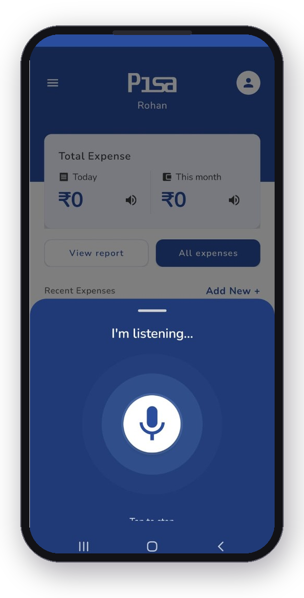 Pisa home and voice expense logging